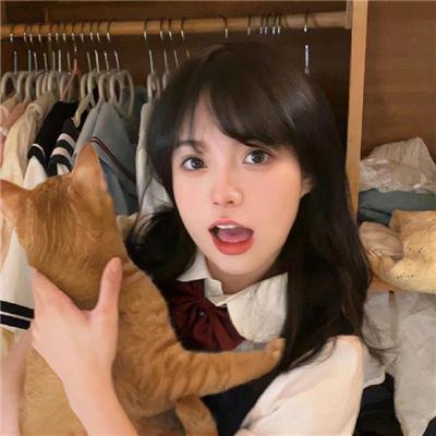 霍莉